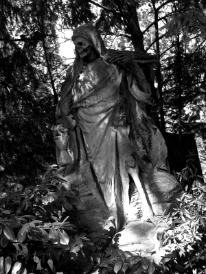 pixelio.de by Norbert Höller