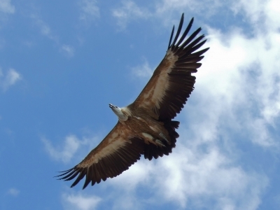 169169_web_r_k_b_by_tobias-braeuning_pixelio-de