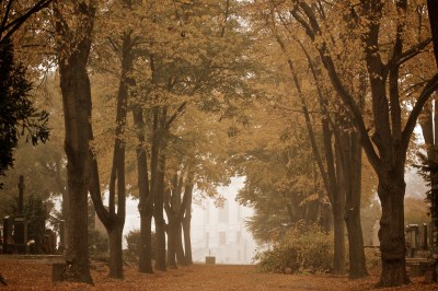 2013-10-22-zentralfriedhof-373